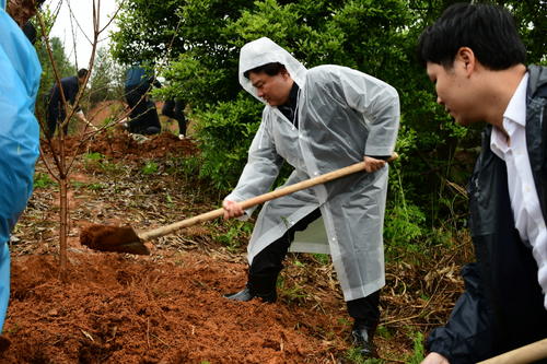 省市县政协委员和机关工作人员在我县开展“优化提升义务植树行动，助力乡村振兴”活动
