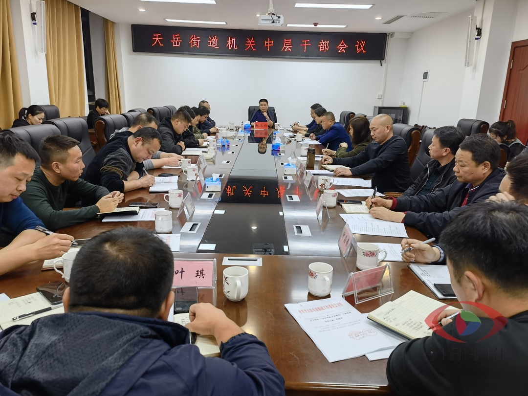 天岳街道：提振精神 强化担当 狠抓落实谋发展