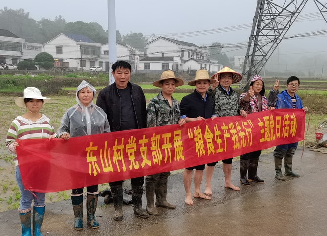 不负好时光，田间抛秧忙——伍市镇东山村党支部开展“粮食生产我先行”主题党日活动