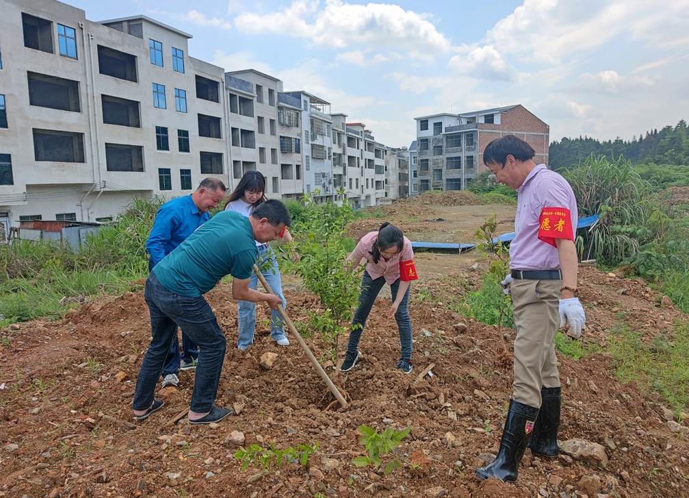 党史学习悟思想，义务植树践初心