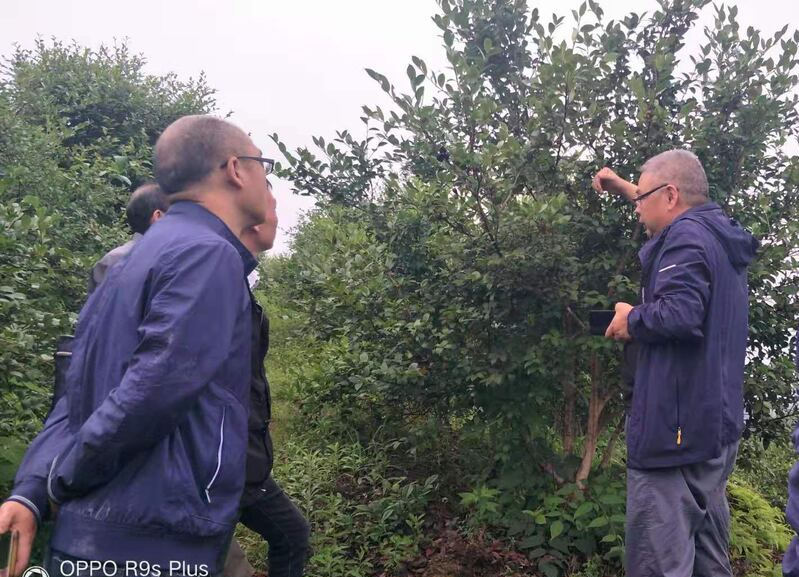 脚下有春泥，心中有真情——记余坪镇乡村振兴工作队