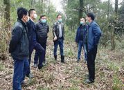 新邵这片近城荒山，即将变为社区公园