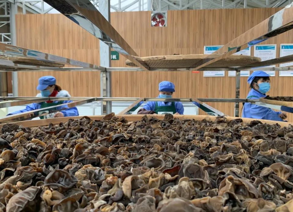 湖南消费扶贫联盟公布首批成员单位，新邵三家入选