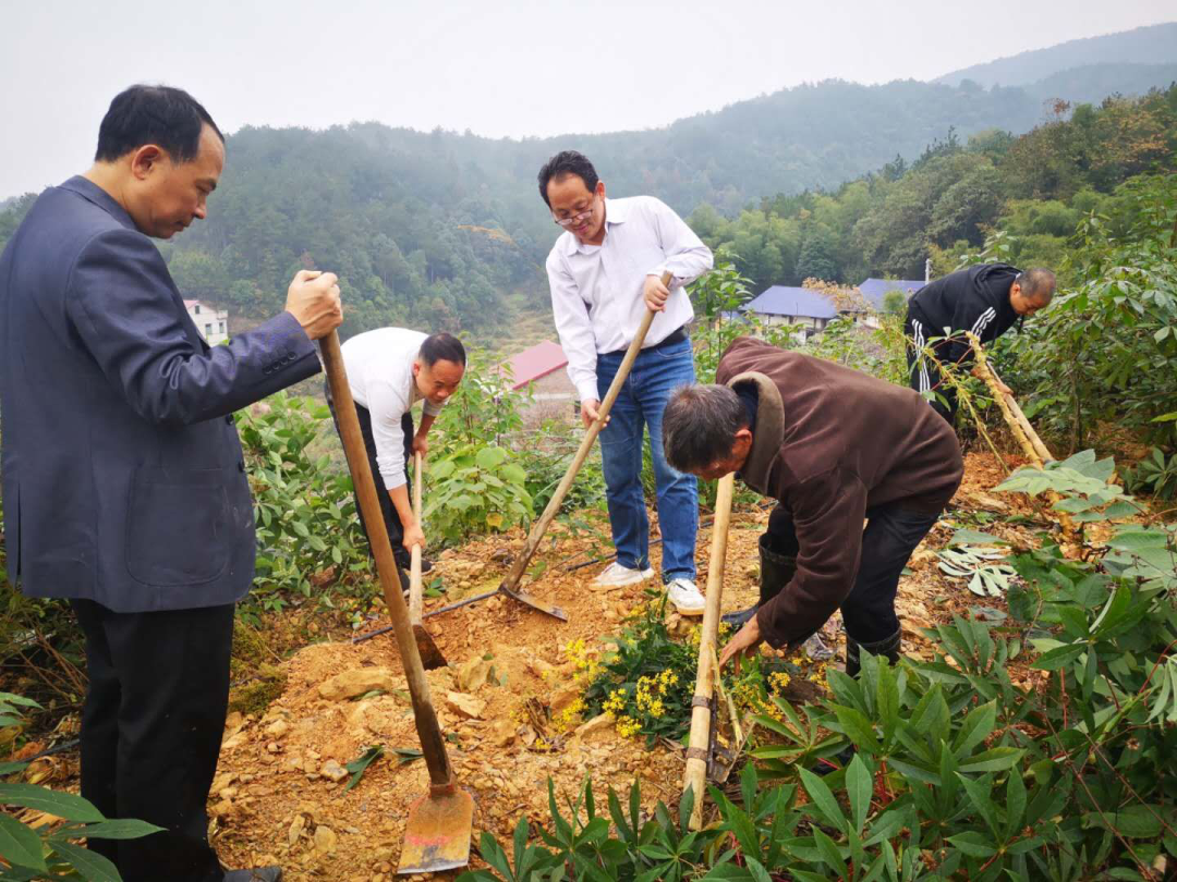 新邵县委第三巡察组临时党支部主题党日活动别开生面