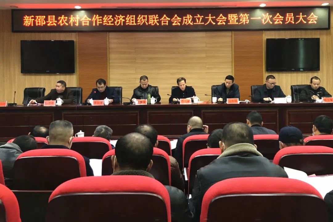 新邵县农村合作经济组织联合会成立