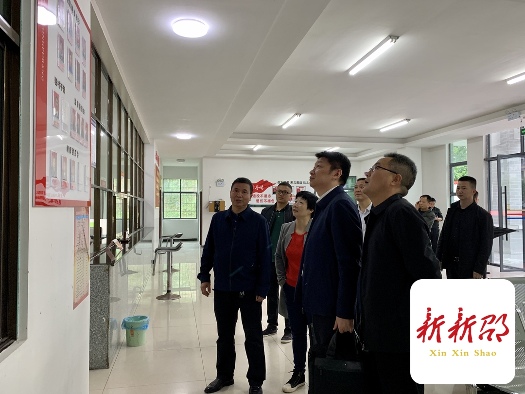 黄劲到新邵大新镇指导乡村振兴工作