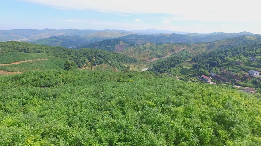 冷水江市長(zhǎng)曾伯怡深入錫礦山街道走訪黨員 向全市黨員致以節(jié)日問候