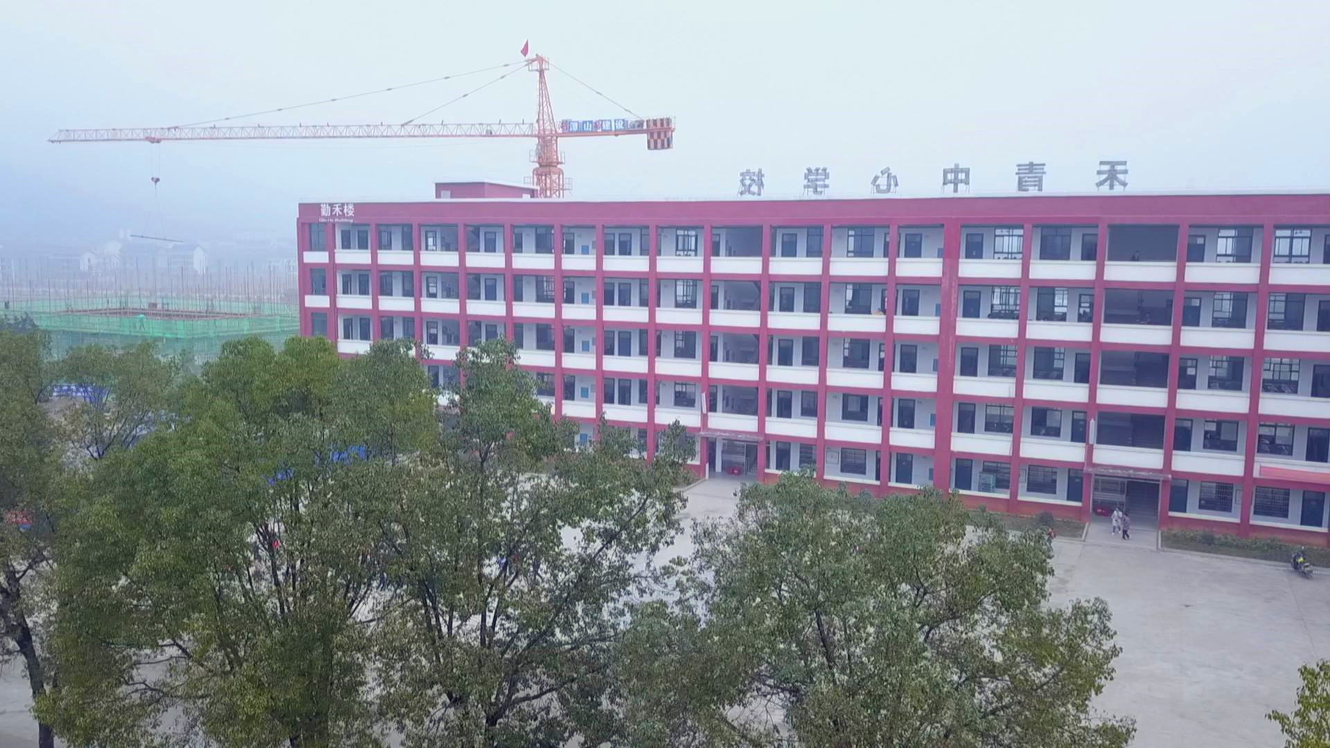 曾伯怡調(diào)研項目建設(shè)進(jìn)展情況