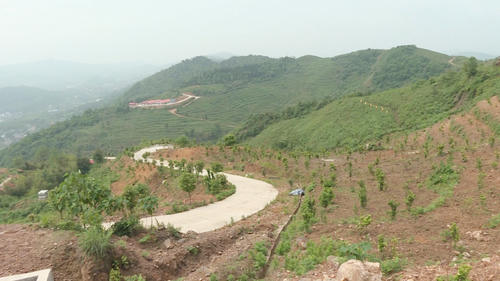 鐸山鎮官溪村：開荒山種果林 集體經濟蓬勃發展