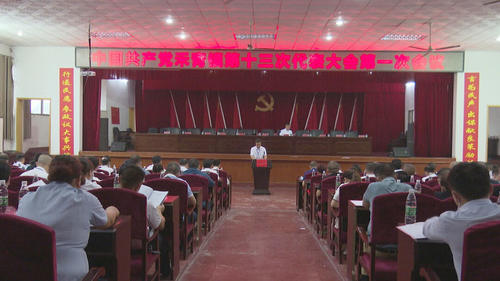 中共禾青鎮第十三次代表大會召開