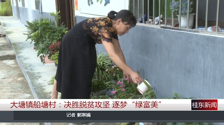 大塘镇船塘村：决胜脱贫攻坚“绿富美”