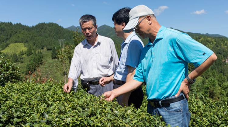 把“氧”在深闺的桂东打造成康养城，向世界敞开怀抱