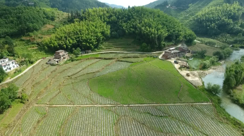 决战决胜脱贫攻坚 | 沤江镇：兴产业稳就业促增收