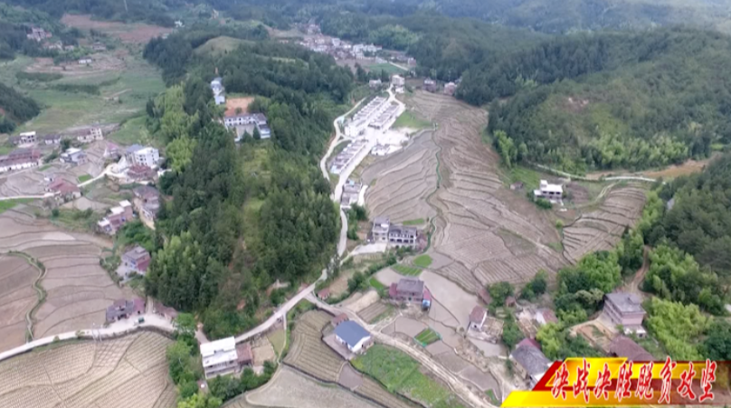 决战决胜脱贫攻坚 | 大塘镇船塘村：决胜脱贫攻坚“绿富美”