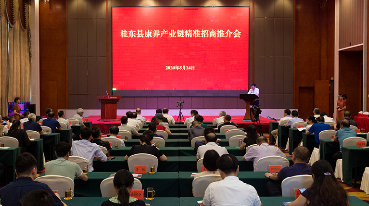 桂东：精准产业链招商 打造“桂东康养基地”