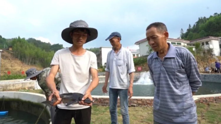 决战决胜脱贫攻坚 | 青山乡：“青山”绿水“鲟”富路
