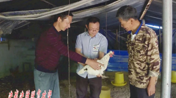 决战决胜脱贫攻坚 | 郭金全的脱贫路