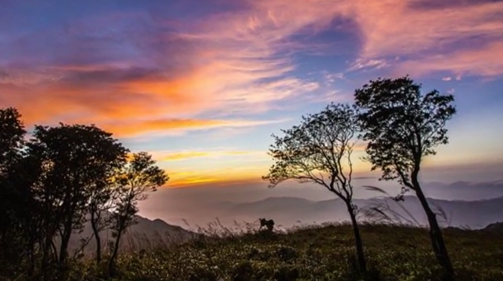 美丽万洋山
