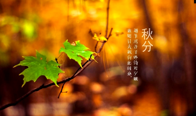 今日秋分迎来第三个 “中国农民丰收节”