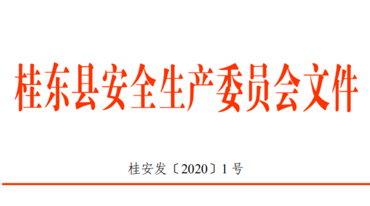 桂东县安全生产专项整治三年行动专班 工作制度