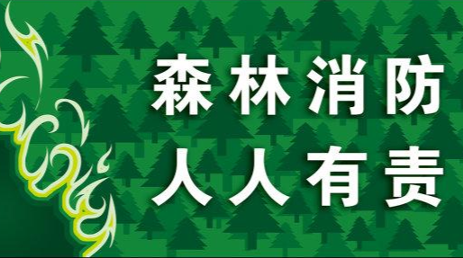 寨前镇：时刻紧绷“防火弦” 筑牢寨前“防火墙”