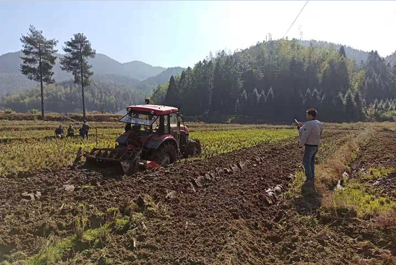 东洛乡五花村：不负暖阳不负冬，不误农时忙耕种