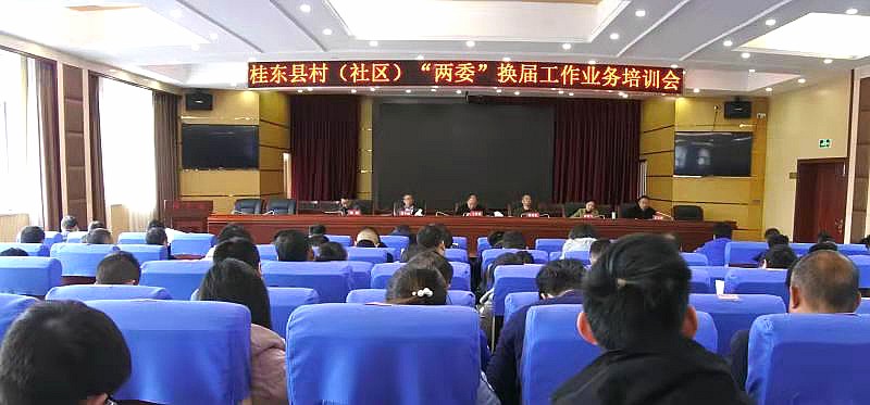 我县开展村（社区）“两委”换届业务培训