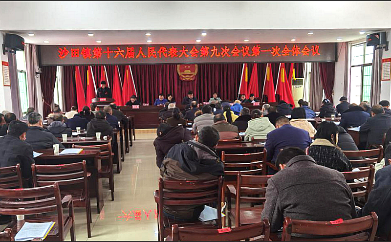 沙田镇召开第十六届人民代表大会第九次会议