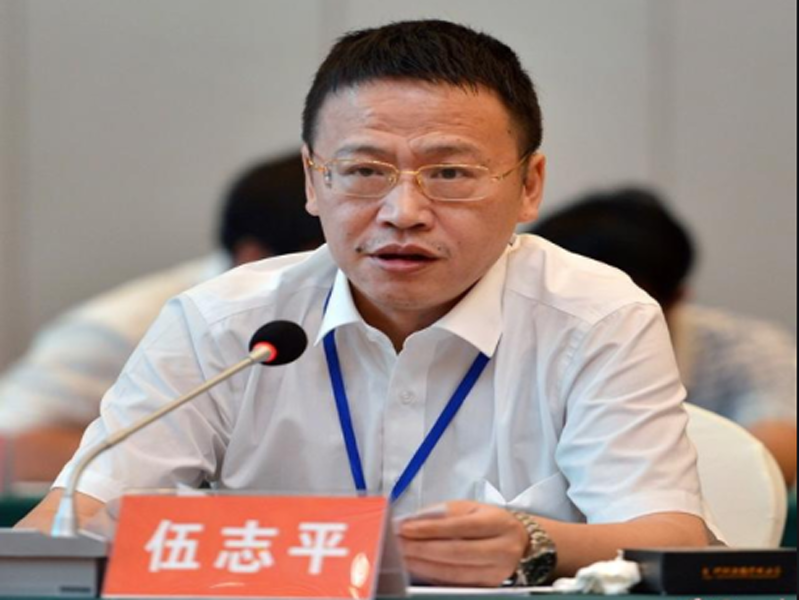 伍志平在新华网发表署名文章：锚定新目标 开启新征程
