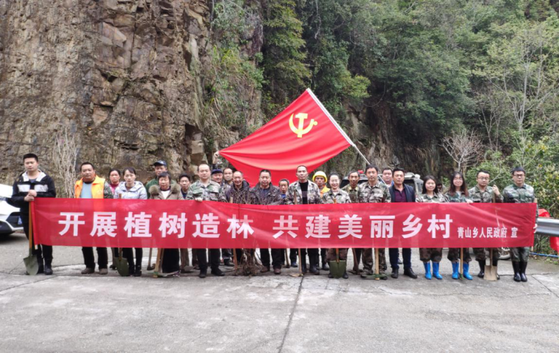 青山乡：植树造林，共建美丽乡村