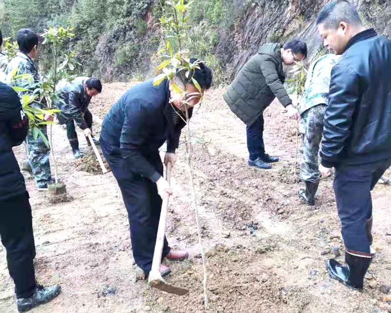 四都镇：三月春风暖 植树正当时