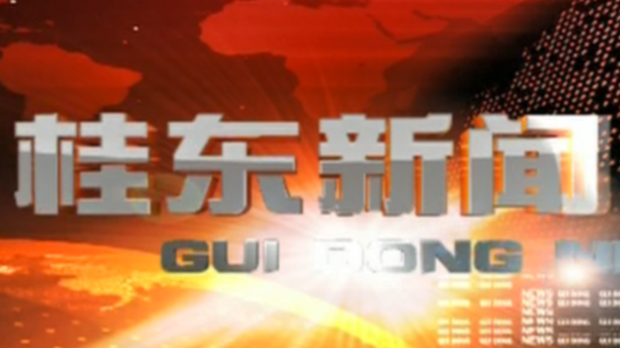 2021年3月17日桂东新闻