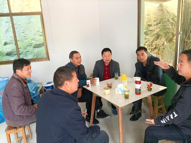 【我为群众办实事】县畜牧水产事务中心：科技下乡精准指导，为养殖户利益保驾护航