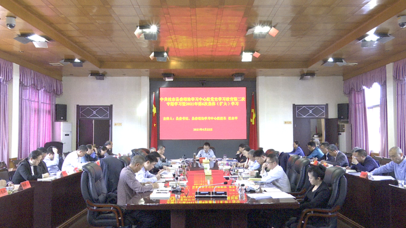县委理论学习中心组举行党史学习教育第二次专题学习