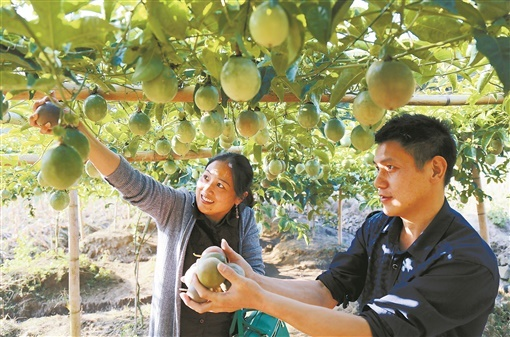 天翻地覆慨而慷——桂东县决战决胜脱贫攻坚纪实