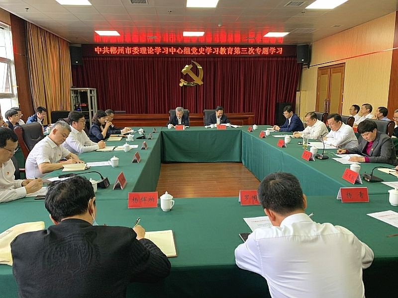 市委理论学习中心组在我县开展党史学习教育第三次专题学习