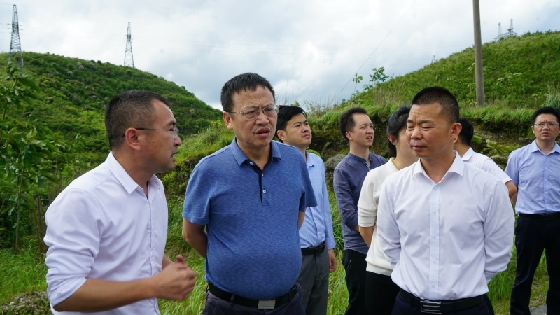 伍志平调研文化旅游项目工作