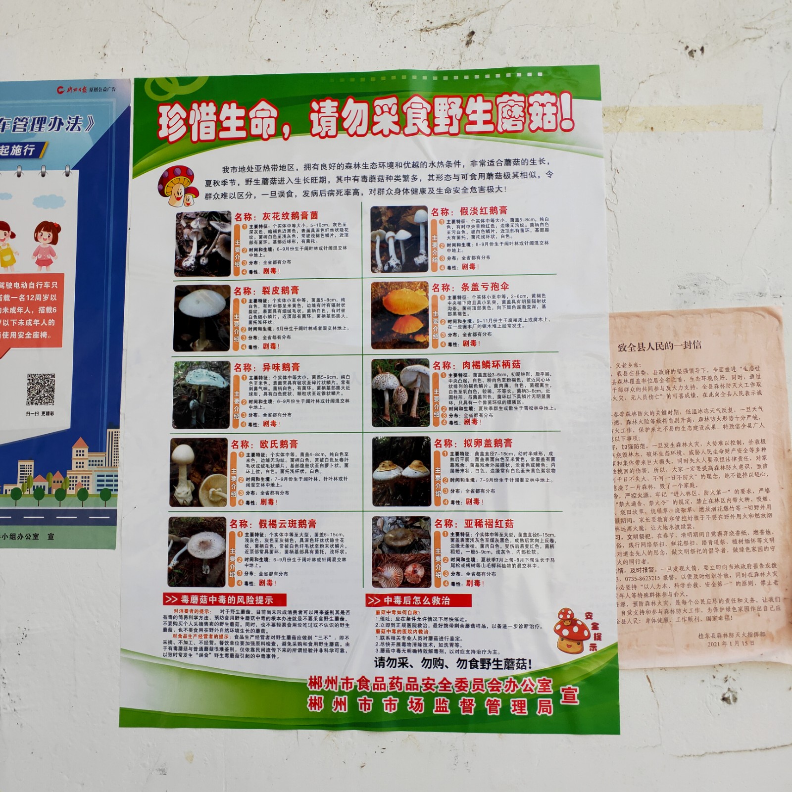 新坊乡加大野生菌中毒预防宣传