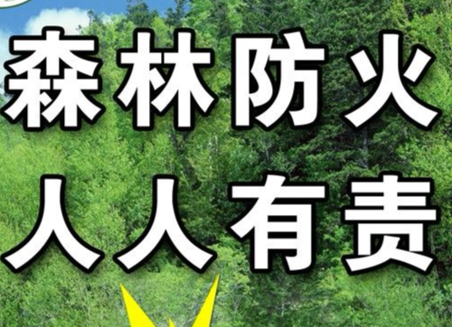 洞口县人民政府关于在重点防火期森林防火区内禁止野外用火的通告 洞政告〔2020〕10号
