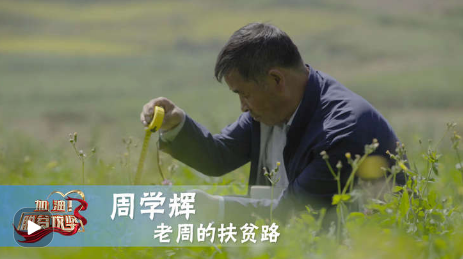 《加油！脱贫攻坚》第十三集《老周的扶贫路》