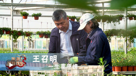 《加油！脱贫攻坚》第十九集《一生草原情》