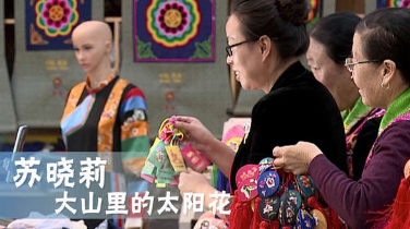 《加油！脱贫攻坚》第二十集《大山里的太阳花》