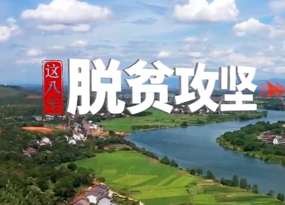 《这八年——精准扶贫在湖南》第五集：走向振兴