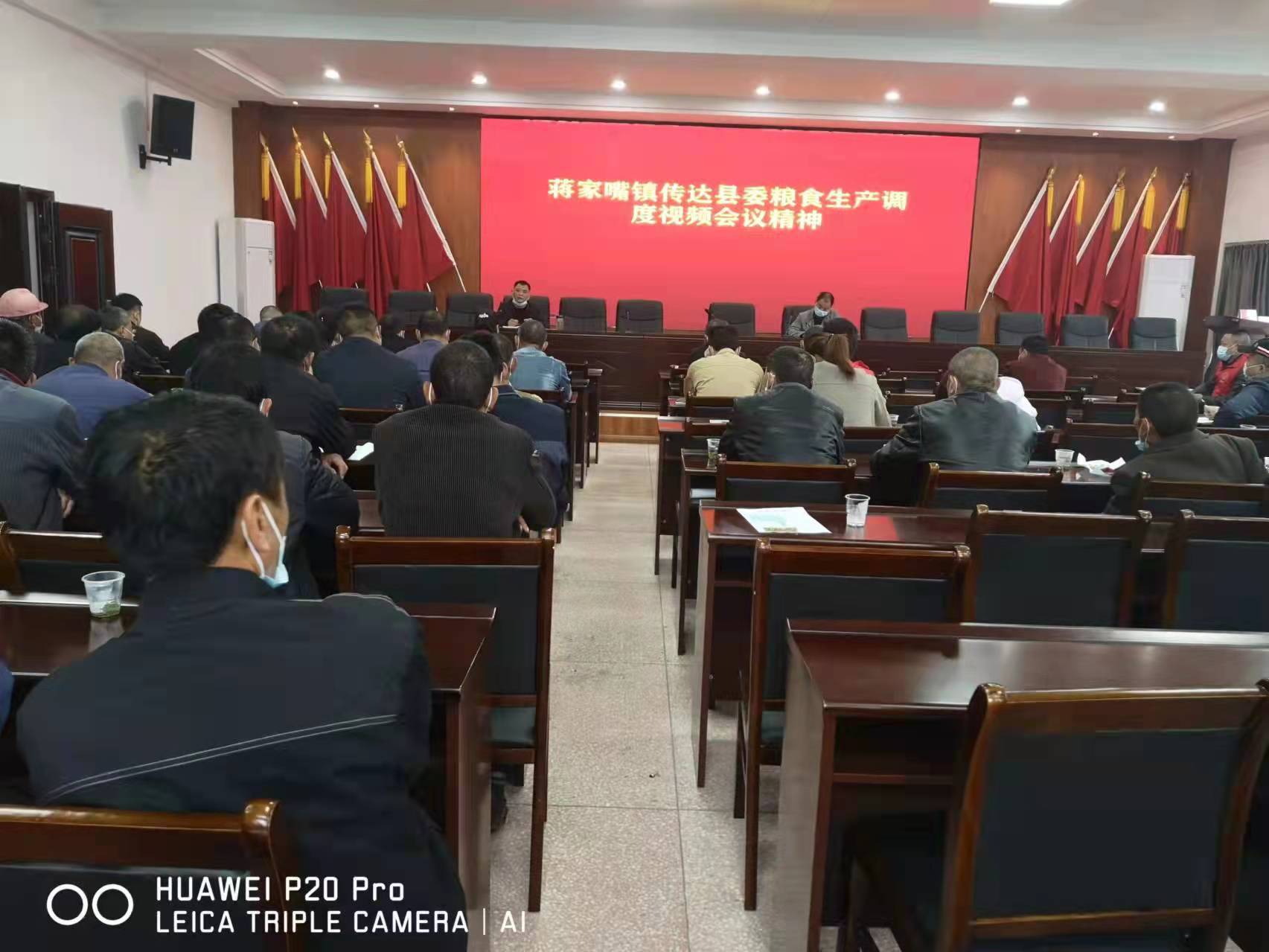 蒋家嘴镇：全面落实早稻种植，营造良好粮食生产氛围