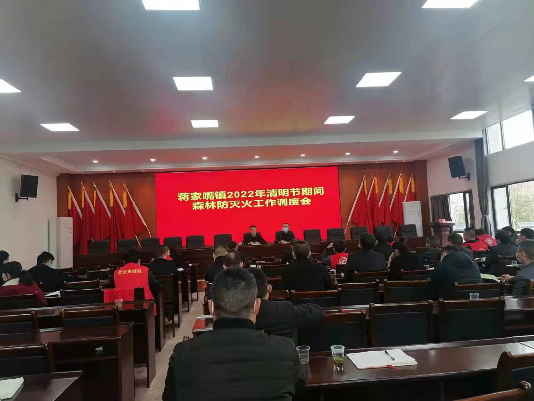 蒋家嘴镇：紧绷安全这根弦 森林防火走在前