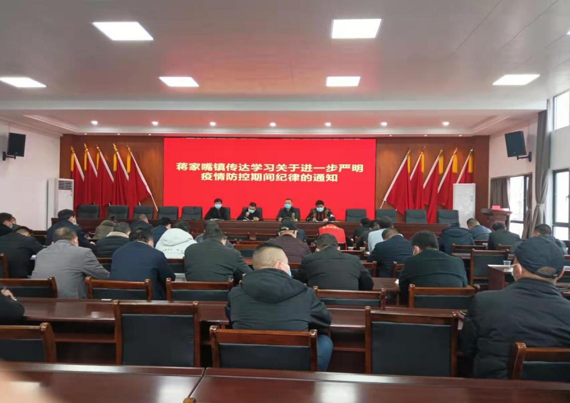 蒋家嘴镇：严明工作纪律  助力疫情防控