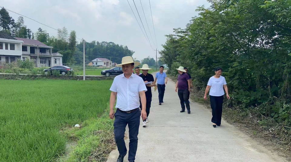 崔家桥镇开展二季度人居环境专项检查