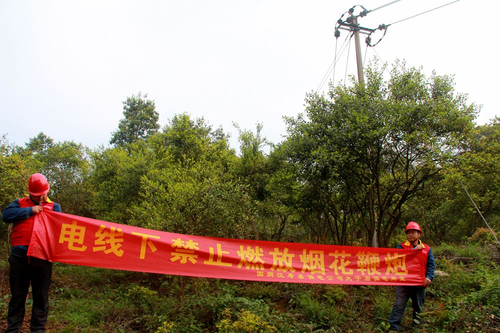 国网汉寿县供电公司：清明防山火于“未燃”