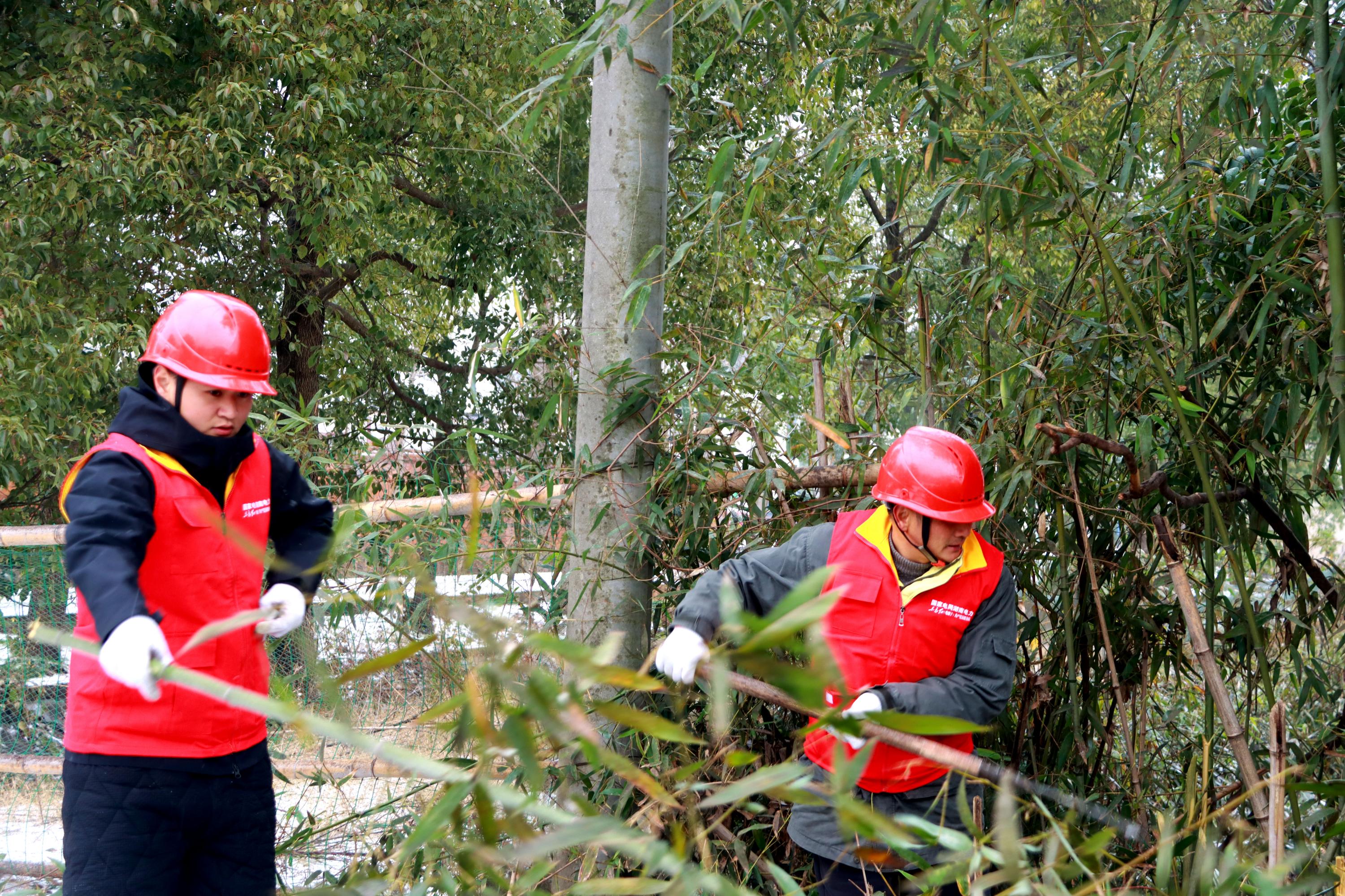 国网汉寿县供电公司：来自远方的答谢