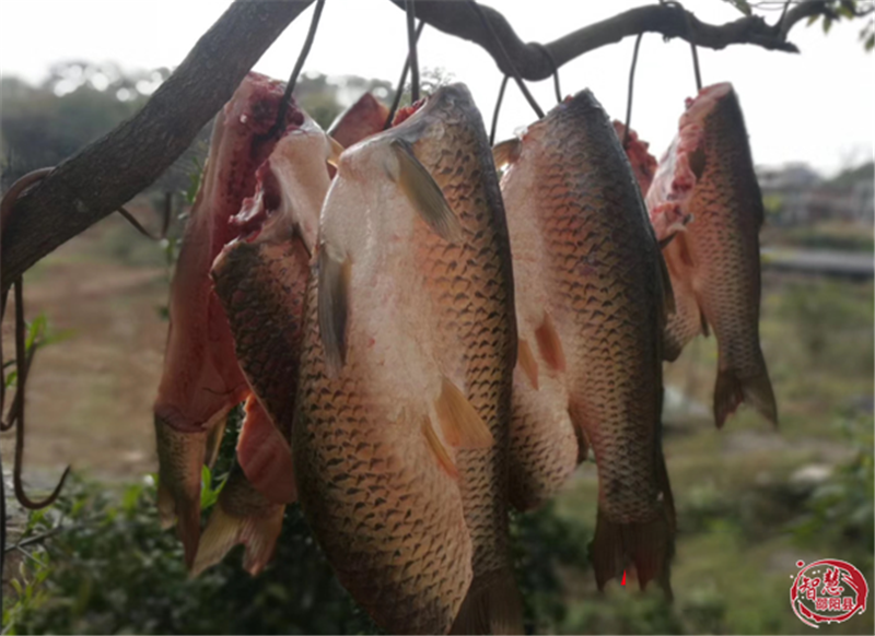 邵阳滋味丨金江"雪花鱼":颠覆传统印象的美味鱼肴
